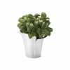 GEORG JENSEN BLOOM FLOWER POT BOTANICA - SMALL